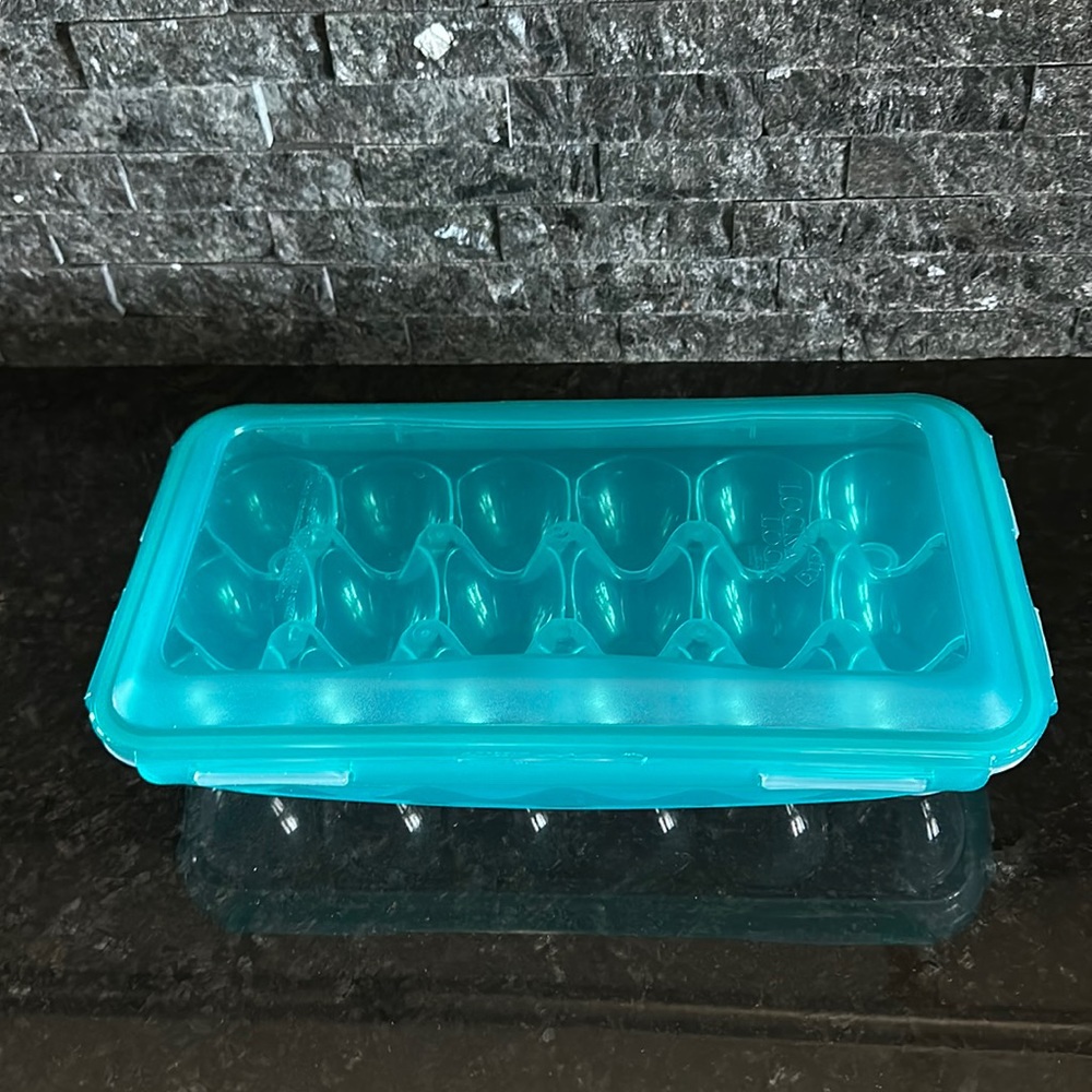Egg Holder. Teal see-through top, holds 18 eggs!